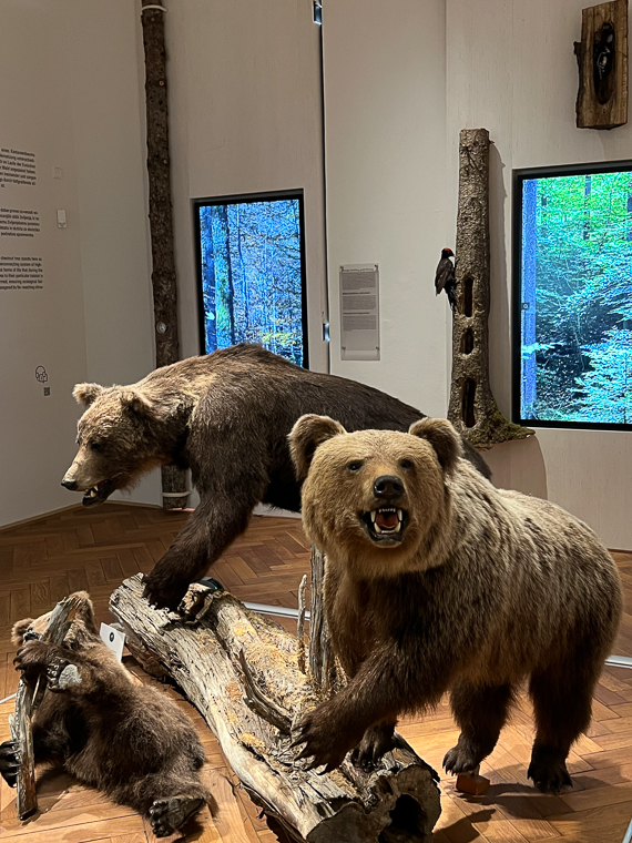 K&auml;rnten.Museum
