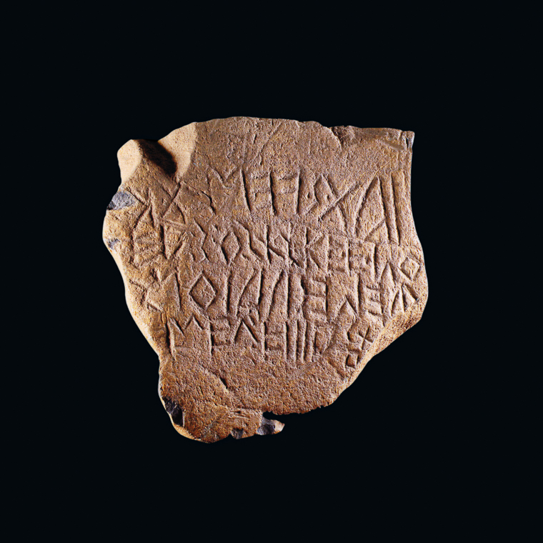 Museo Naturalistico Archeologico di Vicenza