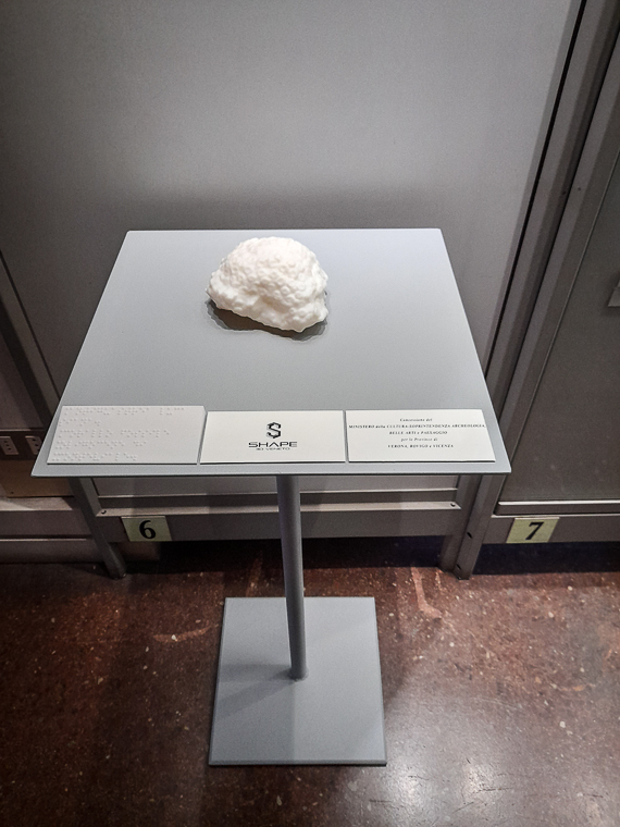 Museo Naturalistico Archeologico di Vicenza