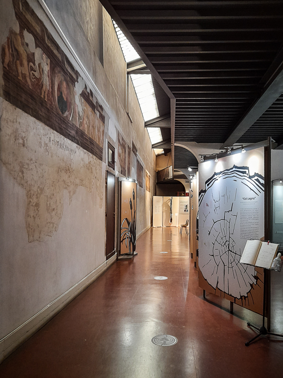 Museo Naturalistico Archeologico di Vicenza