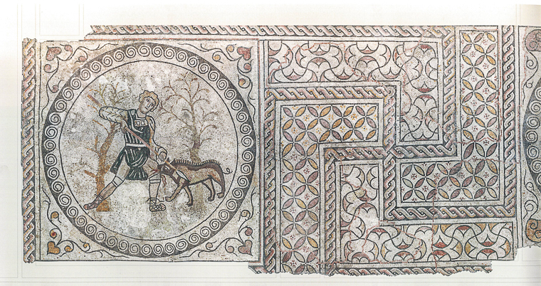 Museo Naturalistico Archeologico di Vicenza