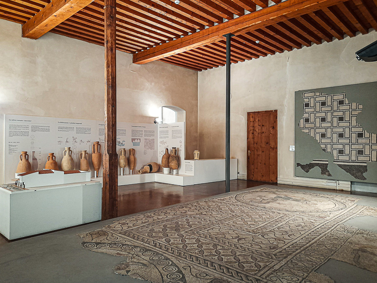 Museo Naturalistico Archeologico di Vicenza