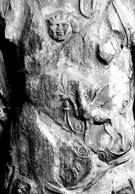 Museo Naturalistico Archeologico di Vicenza