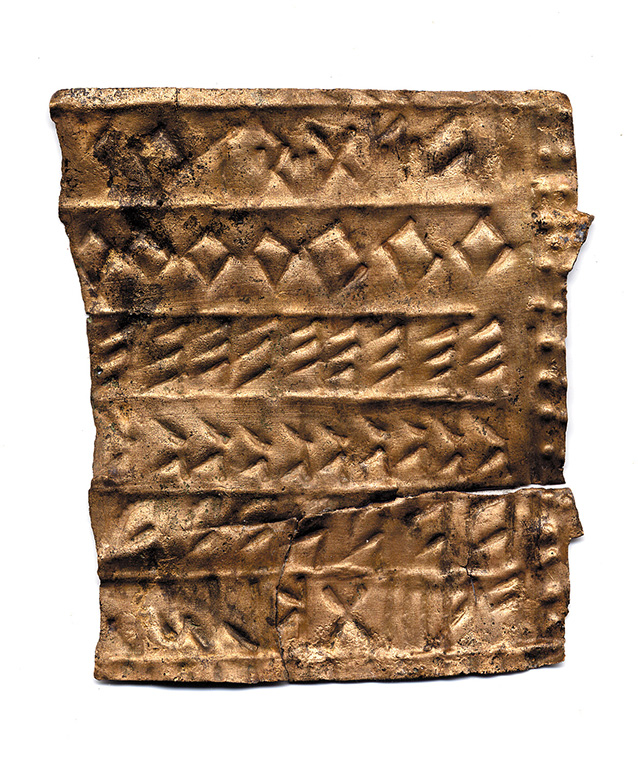 Museo Naturalistico Archeologico di Vicenza