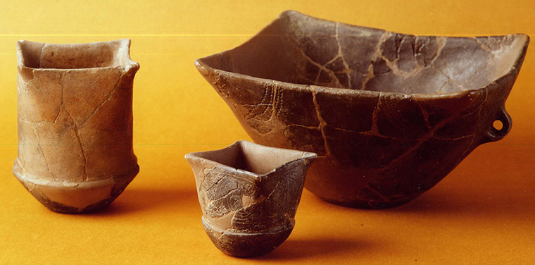 Museo Naturalistico Archeologico di Vicenza