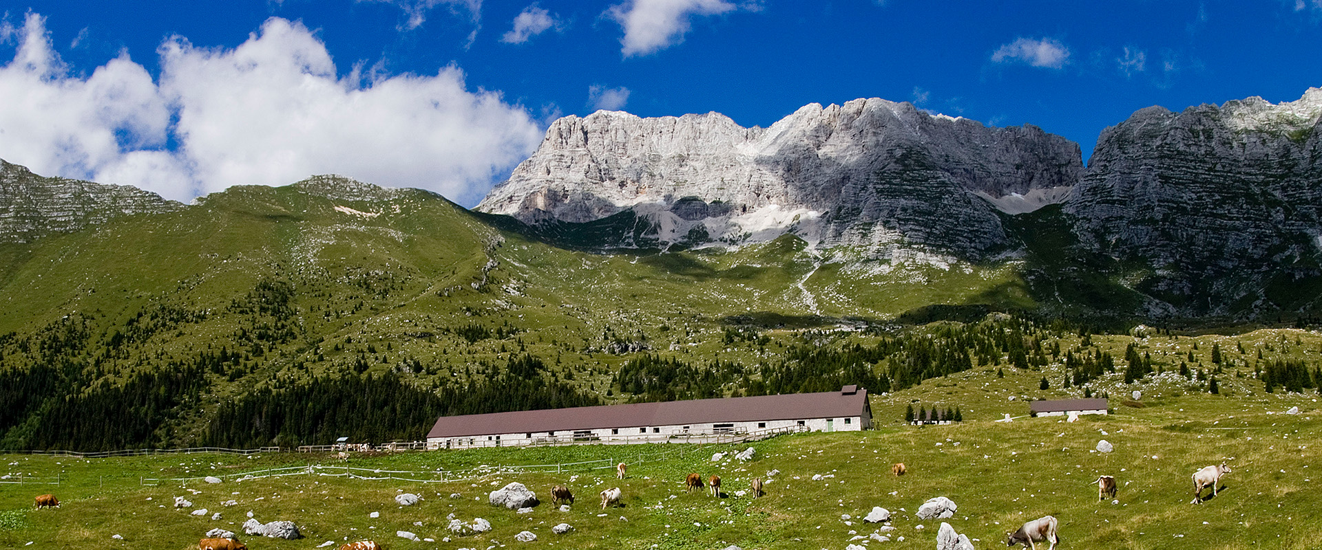 Tourismusregion Tarvis